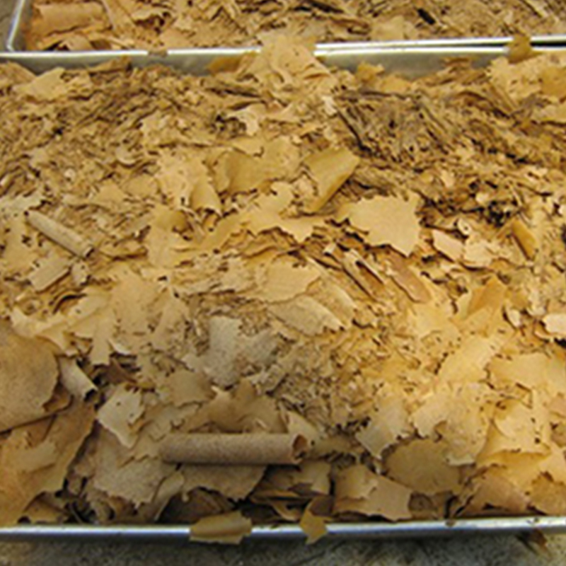 Hg Roller raspador secador